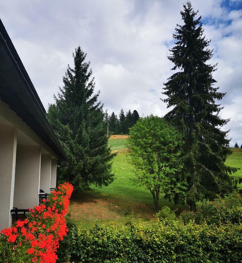Schwarzwaldgasthof Hotel Hirschen Ibach Εξωτερικό φωτογραφία